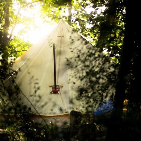 Hollington Park Glamping Hotell Newbury  Eksteriør bilde