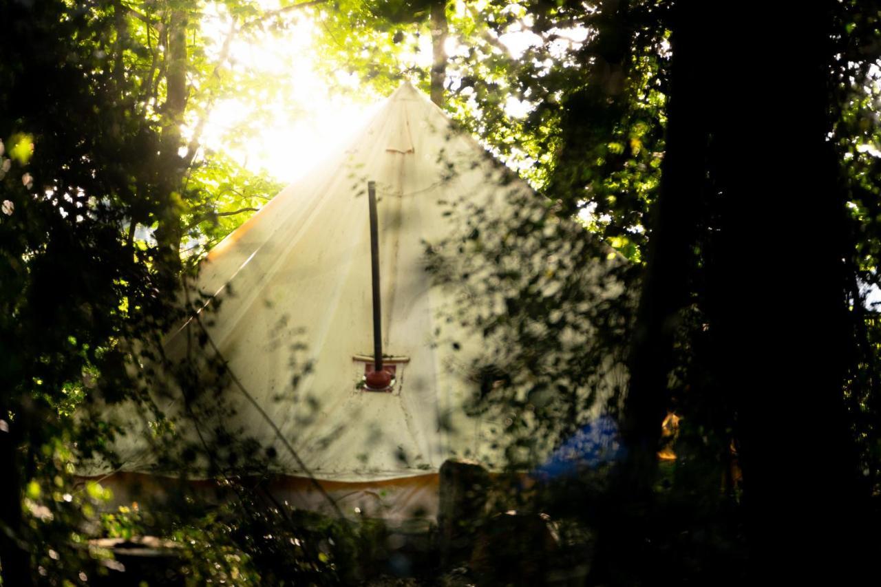 Hollington Park Glamping Hotell Newbury  Eksteriør bilde