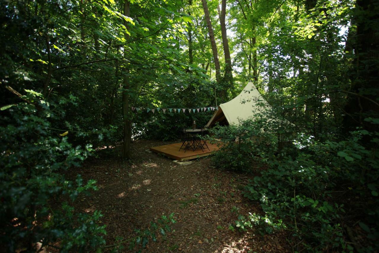 Hollington Park Glamping Hotell Newbury  Eksteriør bilde